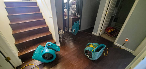 Reliable Vandercook Lake, MI Water damage restoration Solutions