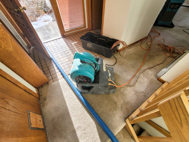 Best Water damage repair service  in Vandercook Lake, MI