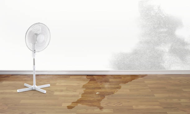 Best Flooded house restoration  in Vandercook Lake, MI