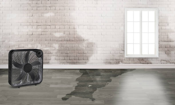 Best 24-hour water damage restoration  in Vandercook Lake, MI