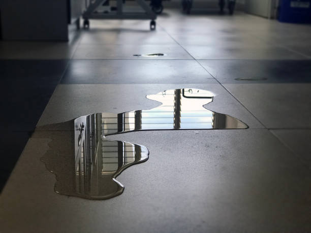 Best Water damage contractors near me  in Vandercook Lake, MI